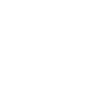 Action Lions Wealth Advisory